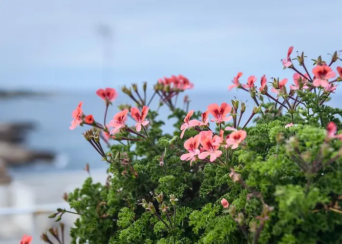 아파트 Nel Blu Dipinto Di Blu - Casa Porto *