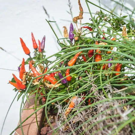 Nel Blu Dipinto Di Blu - 公寓