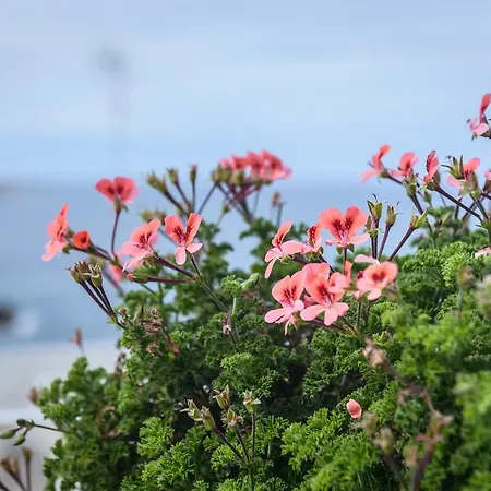 Apartamento Nel Blu Dipinto Di Blu - *