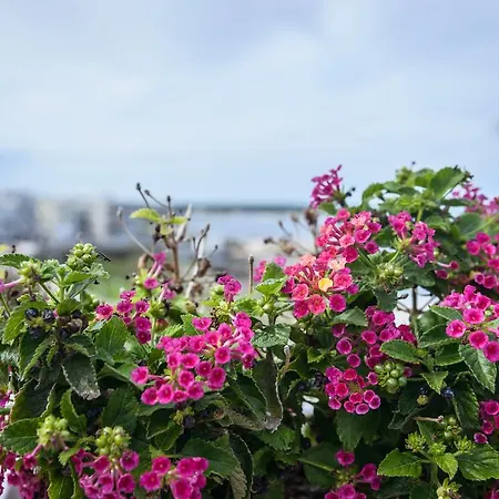 Nel Blu Dipinto Di Blu - *