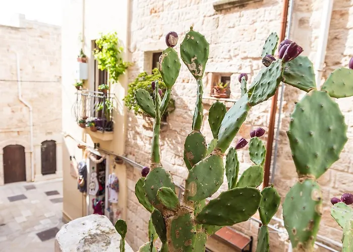 Nel Blu Dipinto Di Blu - * Polignano a Mare