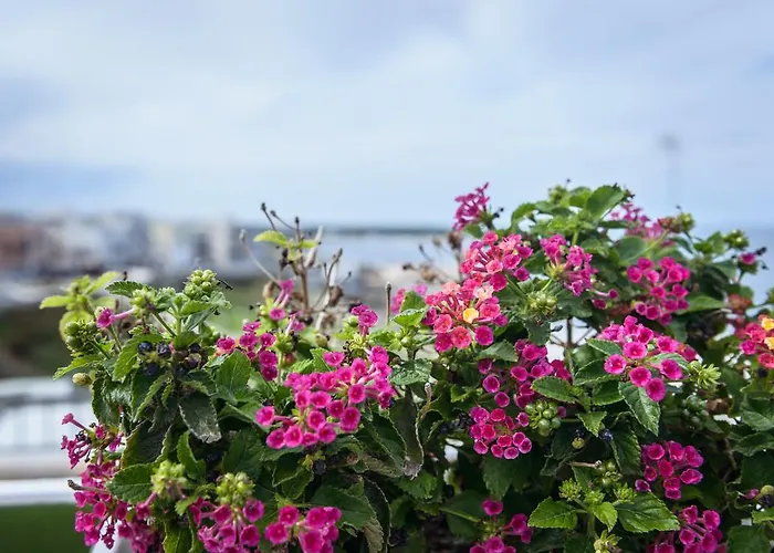 Nel Blu Dipinto Di Blu - *